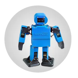 Bot Building & Coding